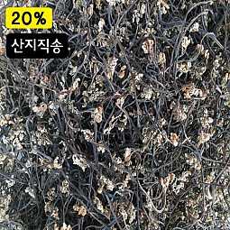 청정지역 맑은지리산 고사리 (건고사리) -100g