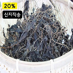청정지역 지리산 취나물 (건취나물)-100g