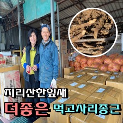 한잎새 먹 고사리종근 12kg 고사리재배